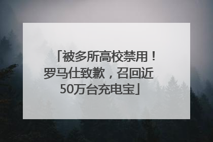 被多所高校禁用！罗马仕致歉，召回近50万台充电宝
