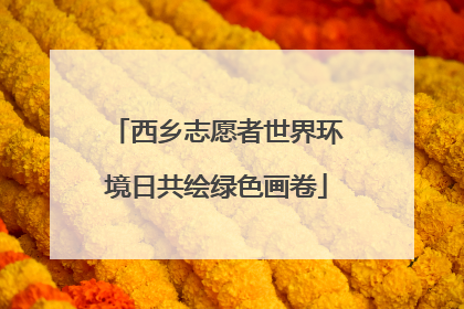 西乡志愿者世界环境日共绘绿色画卷