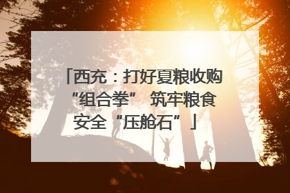 西充：打好夏粮收购“组合拳” 筑牢粮食安全“压舱石”