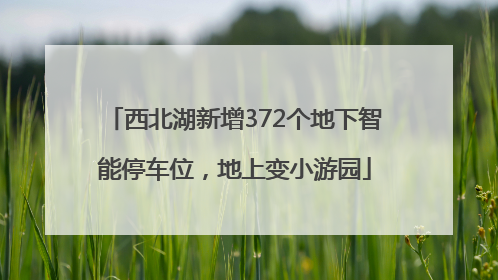 西北湖新增372个地下智能停车位，地上变小游园