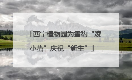 西宁植物园为雪豹“凌小蛰”庆祝“新生”