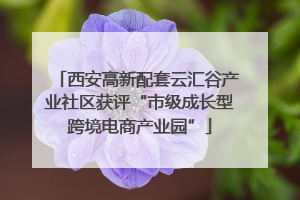 西安高新配套云汇谷产业社区获评“市级成长型跨境电商产业园”