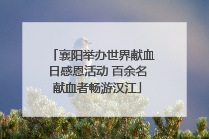 襄阳举办世界献血日感恩活动 百余名献血者畅游汉江