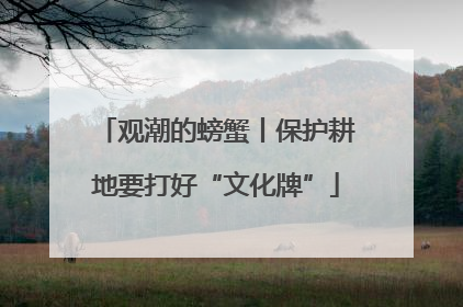 观潮的螃蟹丨保护耕地要打好“文化牌”