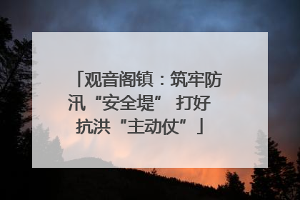 观音阁镇：筑牢防汛“安全堤” 打好抗洪“主动仗”