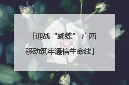 迎战“蝴蝶” 广西移动筑牢通信生命线