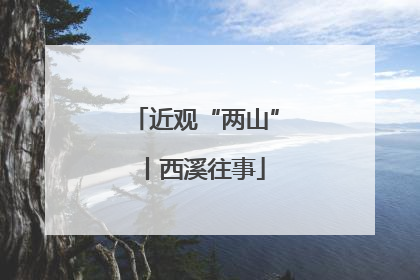 近观“两山”丨西溪往事