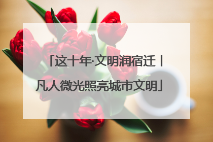 这十年·文明润宿迁丨凡人微光照亮城市文明