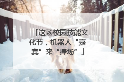 这场校园技能文化节，机器人“嘉宾”来“捧场”
