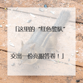 这里的“红色警队”交出一份亮眼答卷！