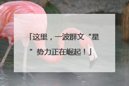 这里，一波群文“星”势力正在崛起！
