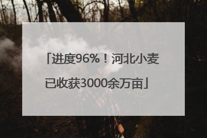 进度96%！河北小麦已收获3000余万亩