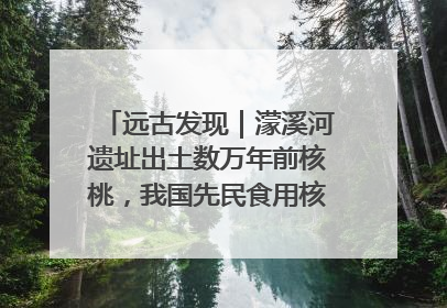 远古发现｜濛溪河遗址出土数万年前核桃，我国先民食用核桃历史大幅提前
