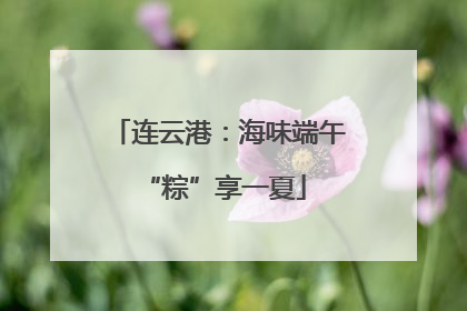 连云港：海味端午 “粽”享一夏