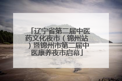 辽宁省第二届中医药文化夜市（锦州站）暨锦州市第二届中医康养夜市启幕