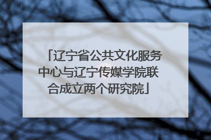 辽宁省公共文化服务中心与辽宁传媒学院联合成立两个研究院