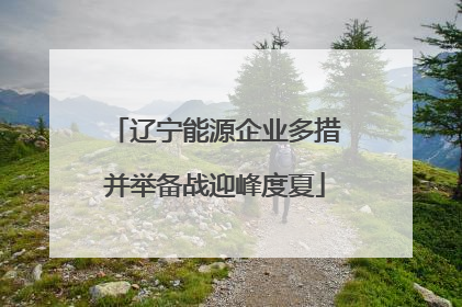 辽宁能源企业多措并举备战迎峰度夏