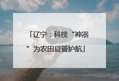 辽宁：科技“神器”为农田夏管护航