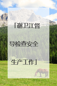 谢卫江督导检查安全生产工作