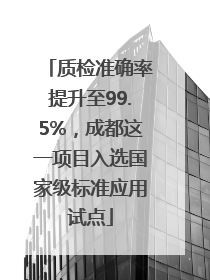 质检准确率提升至99.5%，成都这一项目入选国家级标准应用试点