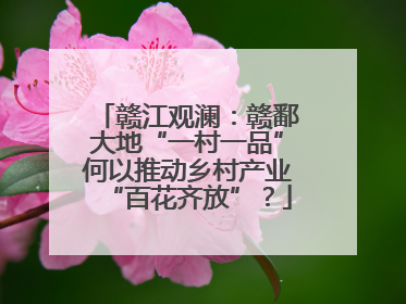 赣江观澜：赣鄱大地“一村一品”何以推动乡村产业“百花齐放”？