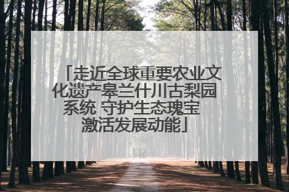走近全球重要农业文化遗产皋兰什川古梨园系统 守护生态瑰宝 激活发展动能