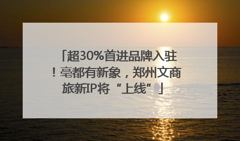 超30%首进品牌入驻！亳都有新象，郑州文商旅新IP将“上线”