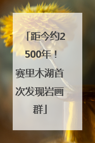 距今约2500年！赛里木湖首次发现岩画群