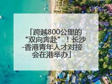 跨越800公里的“双向奔赴”！长沙-香港青年人才对接会在港举办