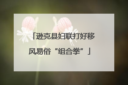 逊克县妇联打好移风易俗“组合拳”
