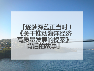 逐梦深蓝正当时！《关于推动海洋经济高质量发展的提案》背后的故事