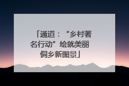 通道：“乡村著名行动”绘就美丽侗乡新图景