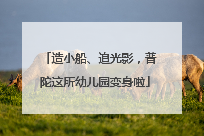 造小船、追光影，普陀这所幼儿园变身啦