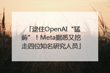 逮住OpenAI“猛薅”！Meta据悉又挖走四位知名研究人员