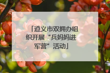 遵义市双拥办组织开展“兵妈妈进军营”活动