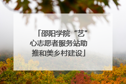 邵阳学院“艺”心志愿者服务站助推和美乡村建设