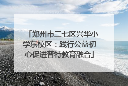 郑州市二七区兴华小学东校区：践行公益初心促进普特教育融合