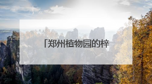 郑州植物园的梓树结“豆角”了