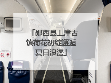 郧西县上津古镇荷花初绽邂逅夏日浪漫