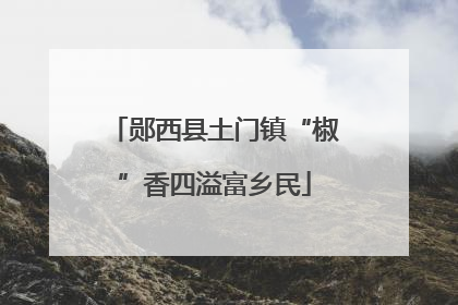 郧西县土门镇“椒”香四溢富乡民