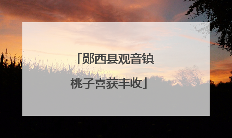 郧西县观音镇桃子喜获丰收