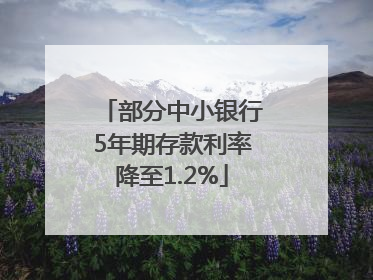 部分中小银行5年期存款利率降至1.2%