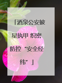 酒泉公安披星执甲 织密防控“安全经纬”