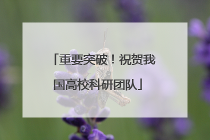 重要突破！祝贺我国高校科研团队