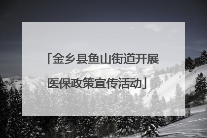 金乡县鱼山街道开展医保政策宣传活动