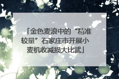 金色麦浪中的“精准较量”石家庄市开展小麦机收减损大比武