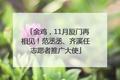 金鸡，11月厦门再相见！范丞丞、齐溪任志愿者推广大使