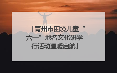 青州市困境儿童“六一”地名文化研学行活动温暖启航