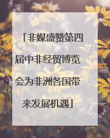 非媒盛赞第四届中非经贸博览会为非洲各国带来发展机遇