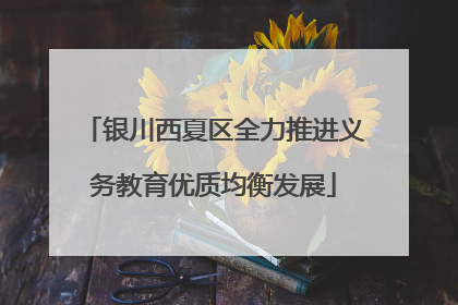 银川西夏区全力推进义务教育优质均衡发展